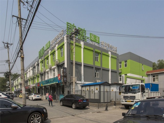 上海室外种植墙的维护